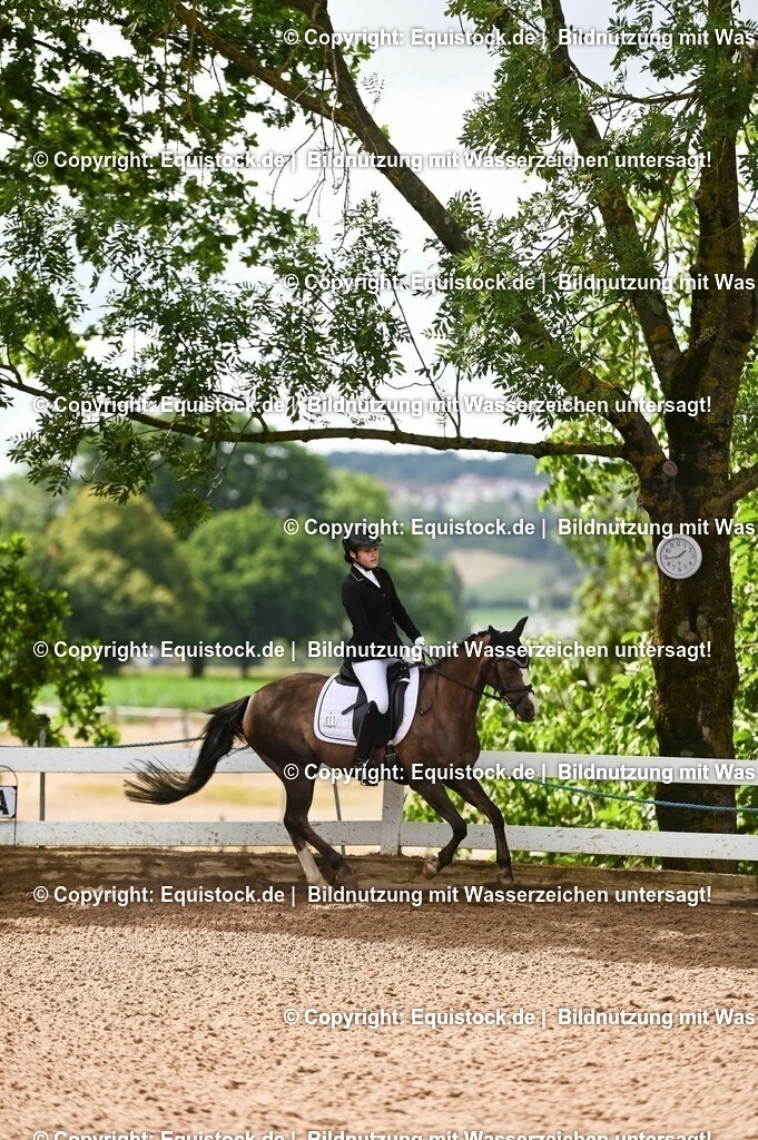 20230716_10-1_Reiter-WB Schritt - Trab - Galopp_0198 | equistock