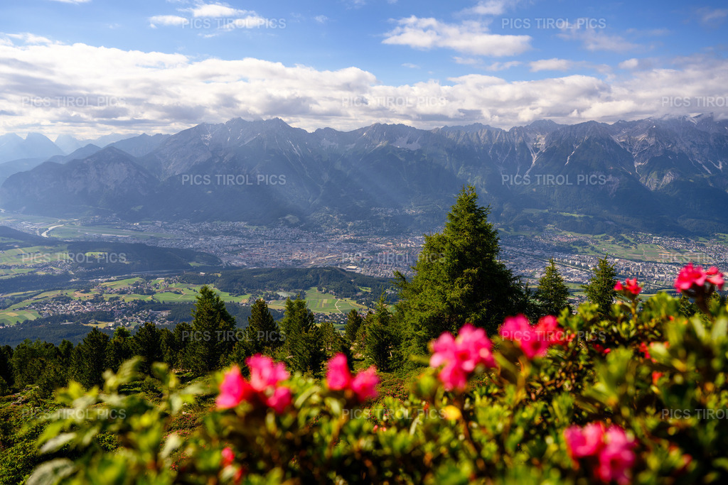 DSC_3590-Bearbeitet | Tirolpics