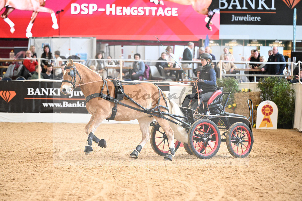 Schauprogramm Haflinger Fahrsport_2251449 | hf-fotografie - Realisiert mit Pictrs.com
