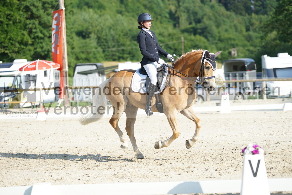 DSC02646 | equestrian-live-com