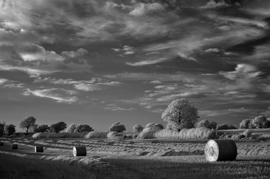 deutschland-2014-112 | Strohballen auf einem abgemähten Feld bei Geltorf südlich von Schleswig im Kreis Schleswig-Flensburg - Realisiert mit Pictrs.com