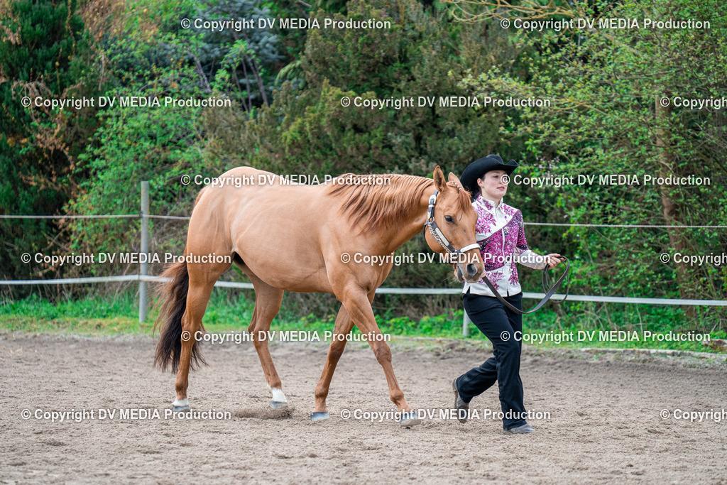 BA300253 | dv-media-shop - Realisiert mit Pictrs.com