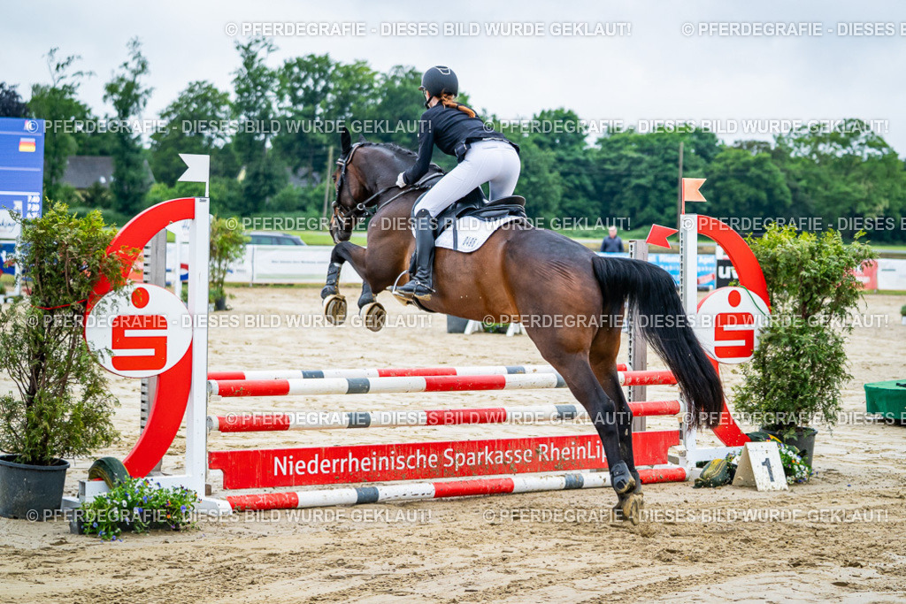 DSC01135 | Pferdegrafie