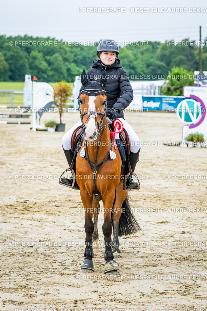 DSC02820 | Pferdegrafie