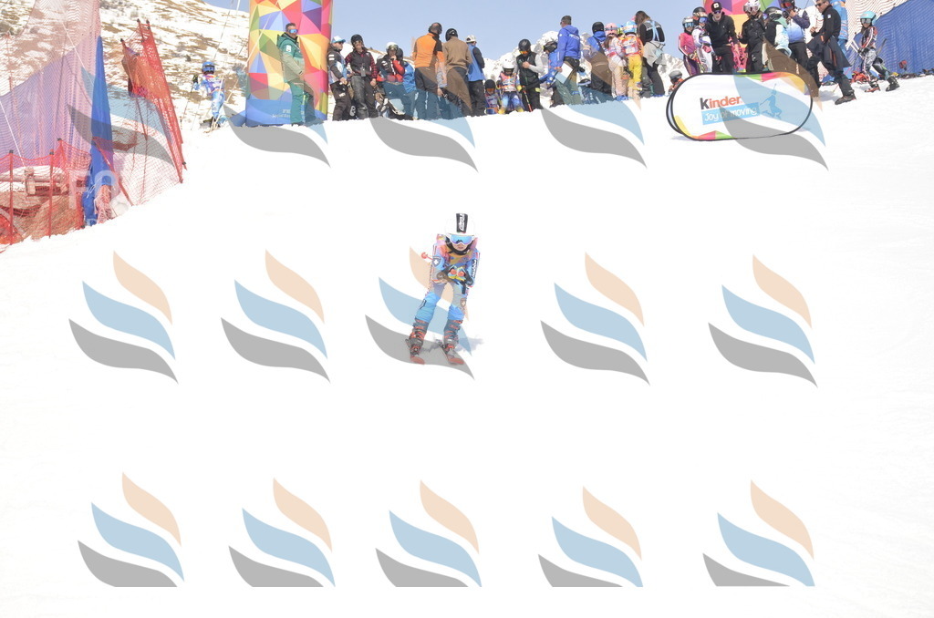 _ELE8983 | holidayphoto