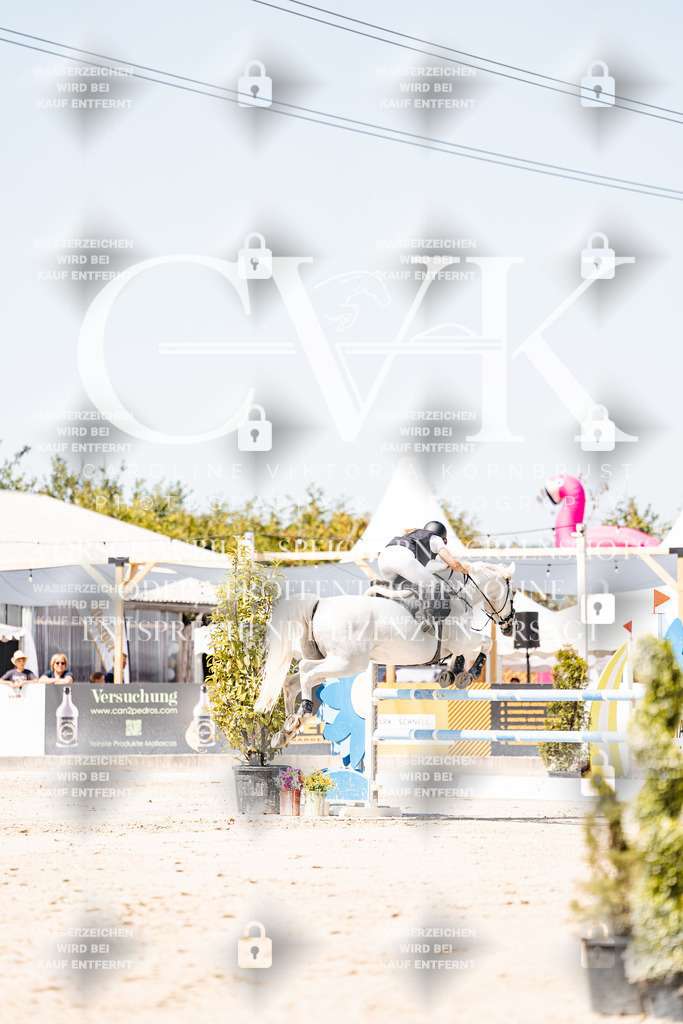 CK909763 | Turnierfotografie Pferdefotografie Trier Rheinland-Pfalz Pferdesport Reitsport Tierfotografie Sportfotografie Pferdevideo Pferdevideografie Equestrianvideography equestrianphotography  - Realisiert mit Pictrs.com
