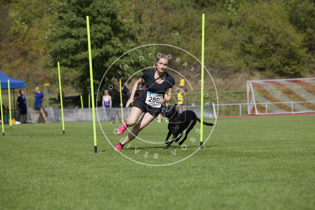 0L8A6977 | Hundefotografie, Tierfotograf, Pfotenfotografie, Fotoshooting Hund, Hunde Portrait, Hundesport, Hundeportraits, Heideshooting, Hunde, Sportfotograf, Hundefotograf, Turnierhundsport, THS,  - Realisiert mit Pictrs.com