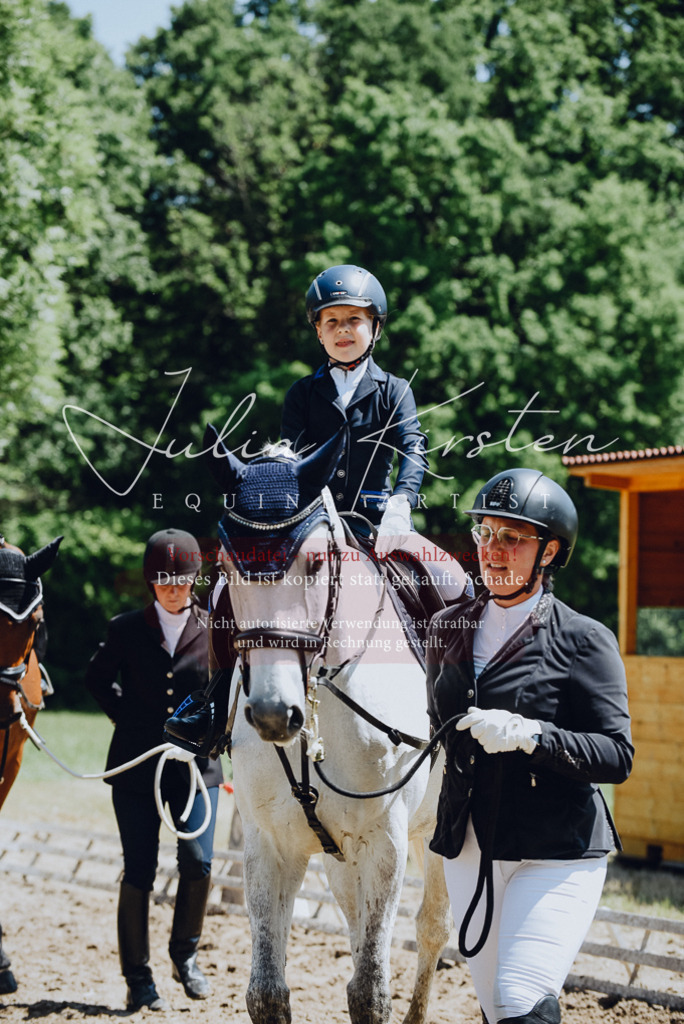 DSC_2107 | Pferde- und Turnierfotografie in Westsachsen. Pferdeportraits, Auftragszeichnungen und intuitive Kunst.