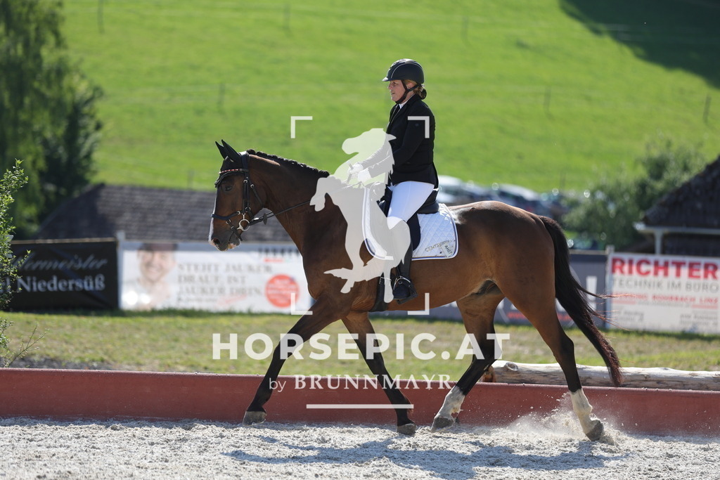 0P6A8153 | Willkommen bei Brunnmayr - Design & Fotografie – Ihrem Spezialisten für Reitturniere und Pferdeveranstaltungen in Oberösterreich, Salzburg und Bayern! Seit über 17 Jahren sind wir leidenschaftlich dabei.