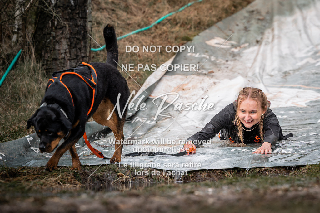 nelerasche_1330-1400_95 | nelerasche