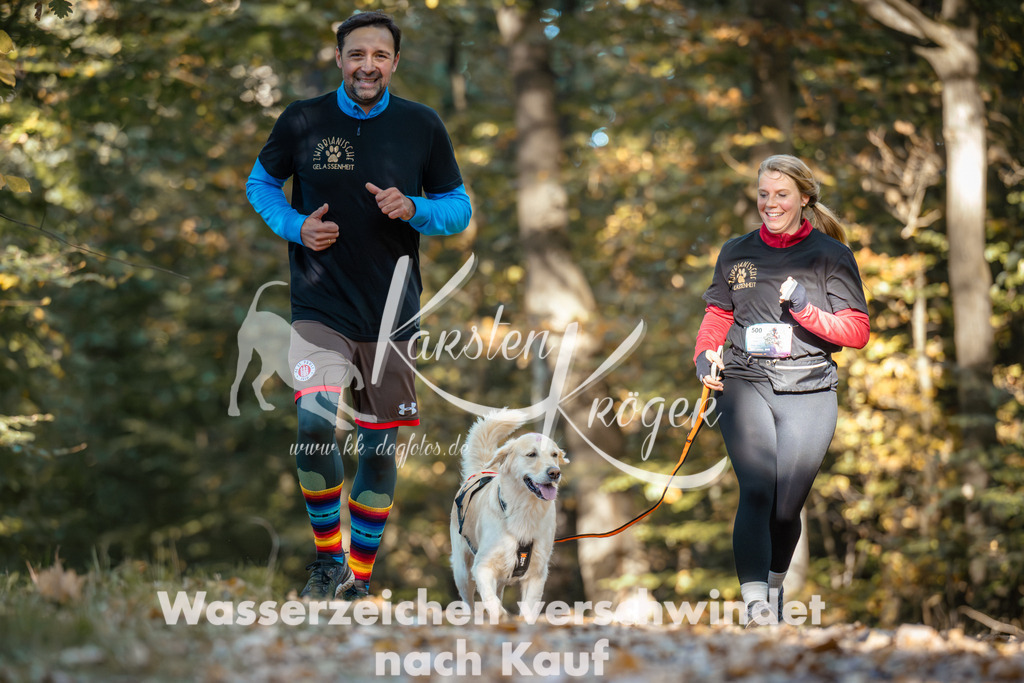 1048_ZZ90939 | kk-dogfotos