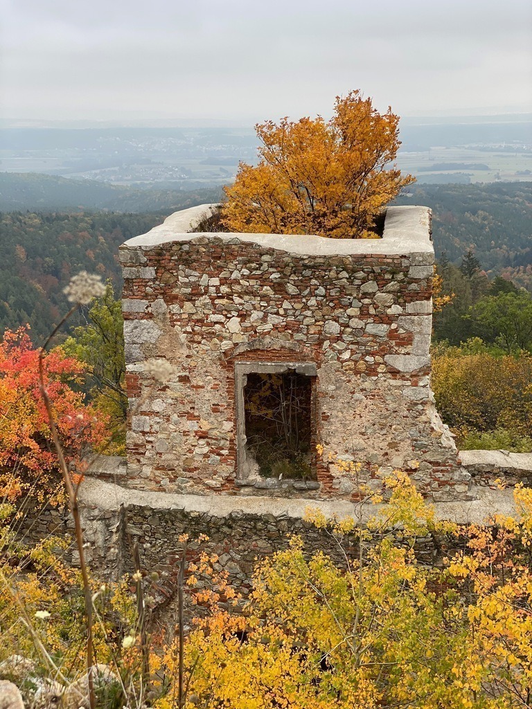 IMG_3587 | Franz Podek