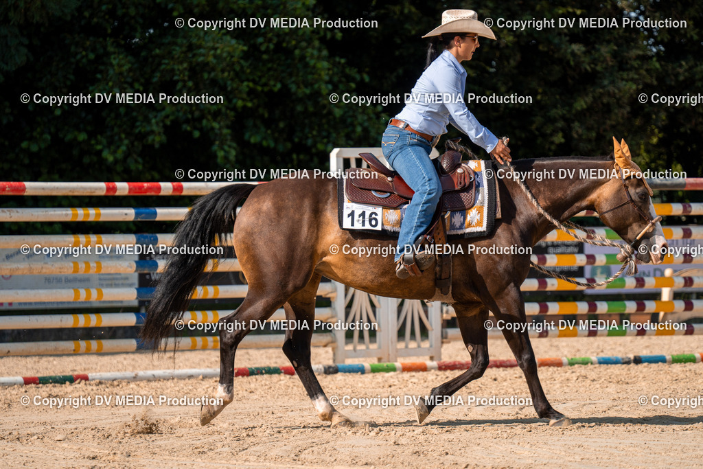 ZH100751 | dv-media-shop - Realisiert mit Pictrs.com