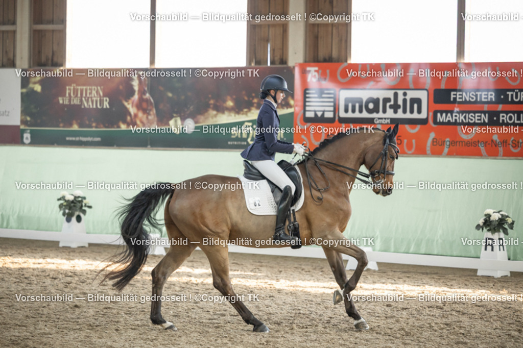 _D5A3196 | Emotionale Pferde- & People-Fotografie rund um Heidelberg, Leimen & Umgebung. Natürliche Fotos von Pferd, Mensch & Familie. Jetzt Termin sichern!