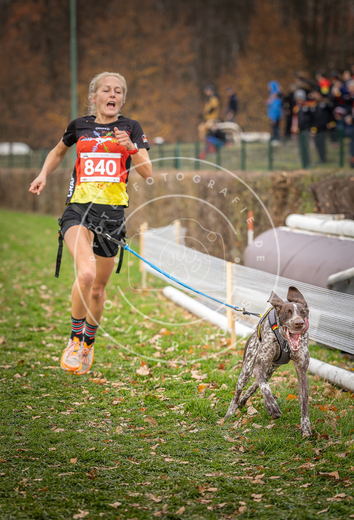 CaniXpix_DV3A6236 | Hundefotografie, Tierfotograf, Pfotenfotografie, Fotoshooting Hund, Hunde Portrait, Hundesport, Hundeportraits, Heideshooting, Hunde, Sportfotograf, Hundefotograf, Turnierhundsport, THS,  - Realisiert mit Pictrs.com