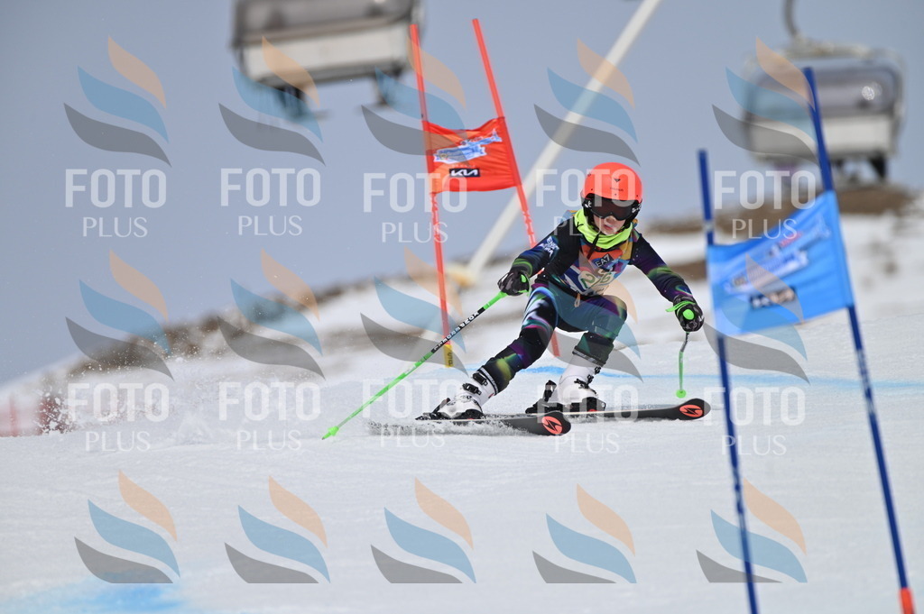 BGV_4454 | holidayphoto