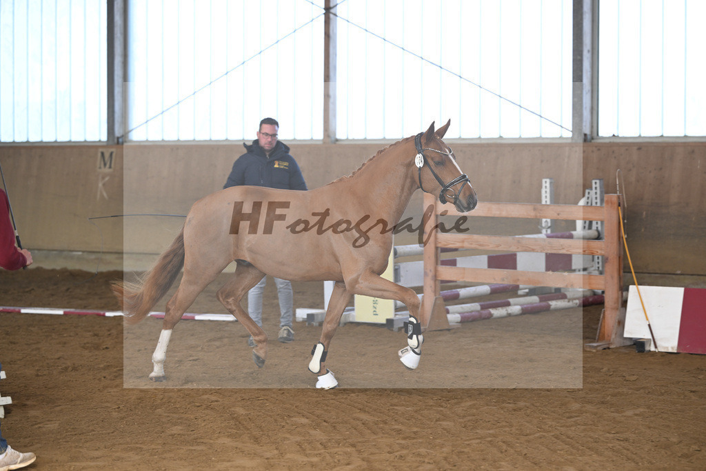 Kat-Nr. 4 Thuraus Giordano v. Giotto_Hummer_49250112 | hf-fotografie - Realisiert mit Pictrs.com