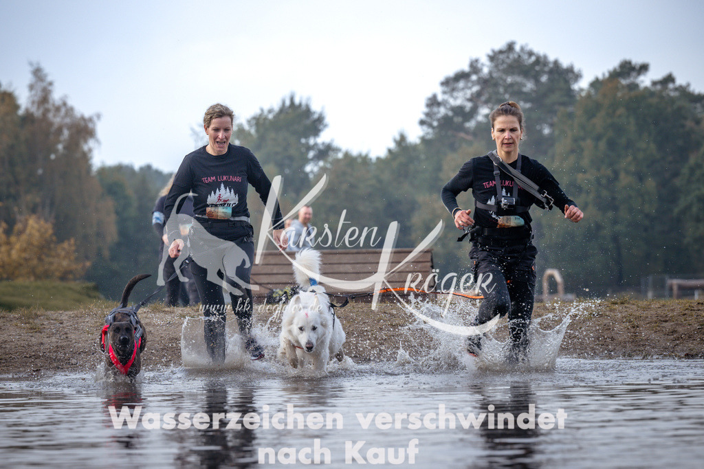 1138_ZZ95689 | kk-dogfotos