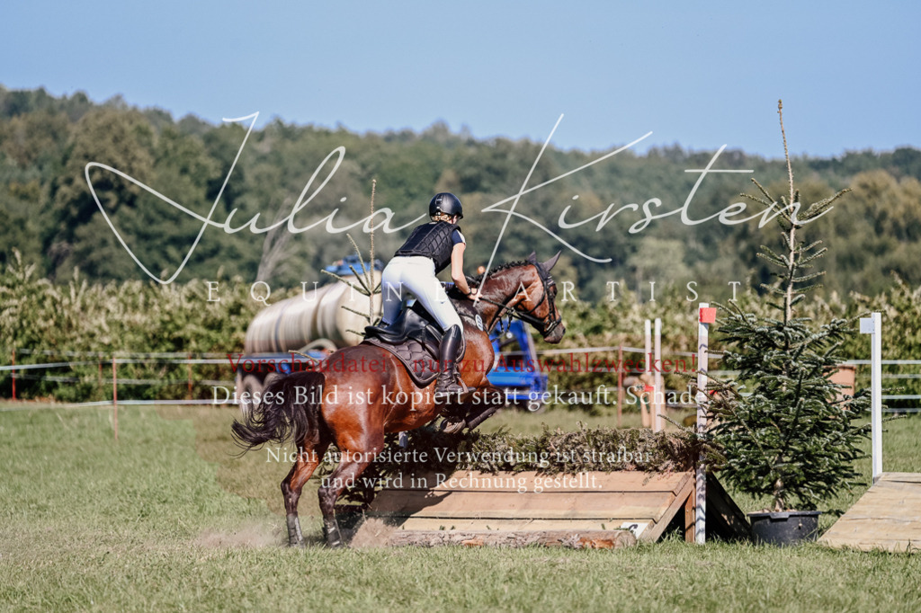 DSC_3286 | Pferde- und Turnierfotografie in Westsachsen. Pferdeportraits, Auftragszeichnungen und intuitive Kunst.