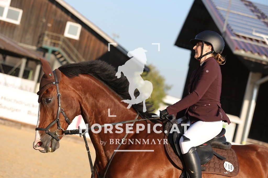 0P6A3764 | Willkommen bei Brunnmayr - Design & Fotografie – Ihrem Spezialisten für Reitturniere und Pferdeveranstaltungen in Oberösterreich, Salzburg und Bayern! Seit über 17 Jahren sind wir leidenschaftlich dabei.