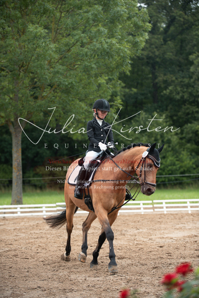 DSC_9872 | Pferde- und Turnierfotografie in Westsachsen. Pferdeportraits, Auftragszeichnungen und intuitive Kunst.