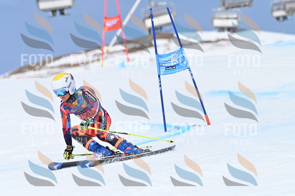 BGV_2038 | holidayphoto