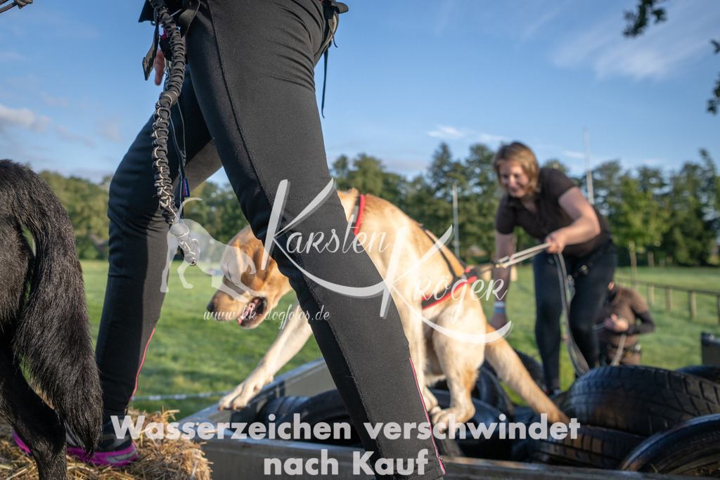0817_ZZ90833 | kk-dogfotos