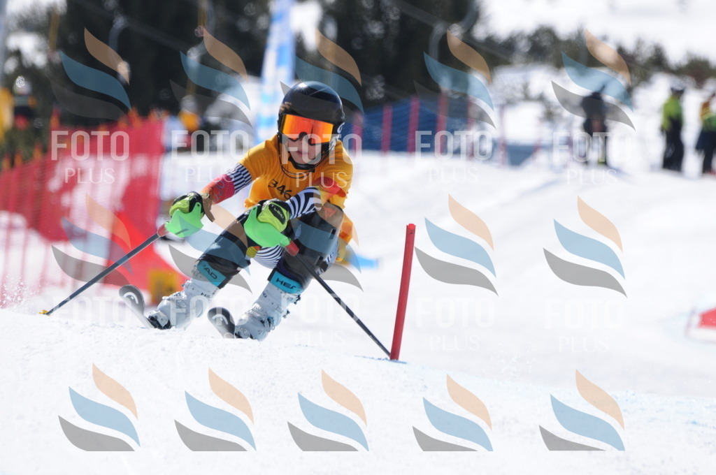 C9352 | holidayphoto