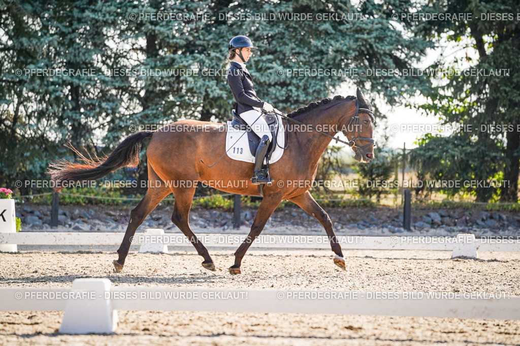 DSC09451 | Pferdegrafie