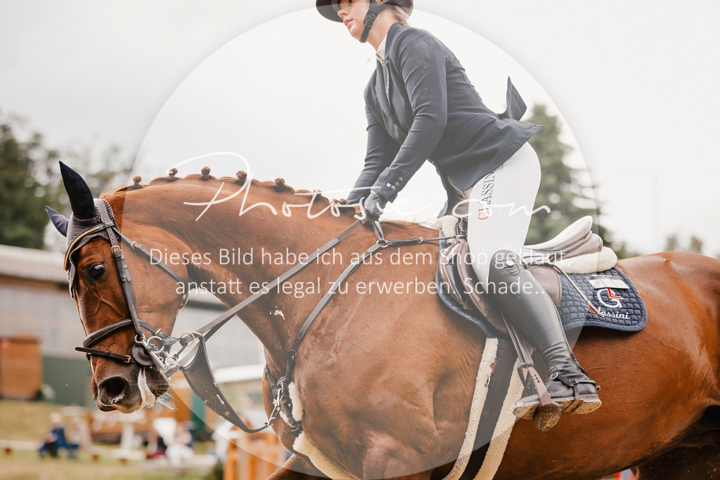 3I6A2479 | Stimmungsvolle Portraits und Reitsportfotografie im Ruhrgebiet und im Münsterland.

Pferdefotografie, Hundefotografie, Tierfotografie, Reportagen, Portraits von Tier und Mensch, Turnierfotografie in Bochum, Recklinghausen, Marl, Haltern am See, Dülmen.. - Realisiert mit Pictrs.com
