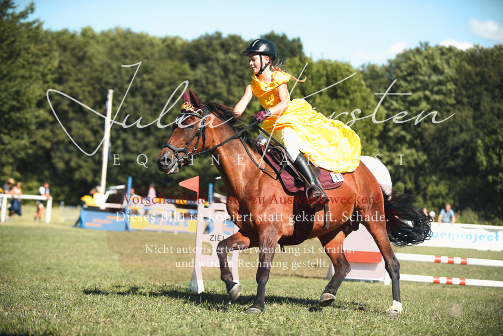 DSC_7528 | Pferde- und Turnierfotografie in Westsachsen. Pferdeportraits, Auftragszeichnungen und intuitive Kunst.
