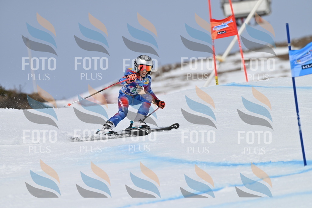 BGV_5397 | holidayphoto