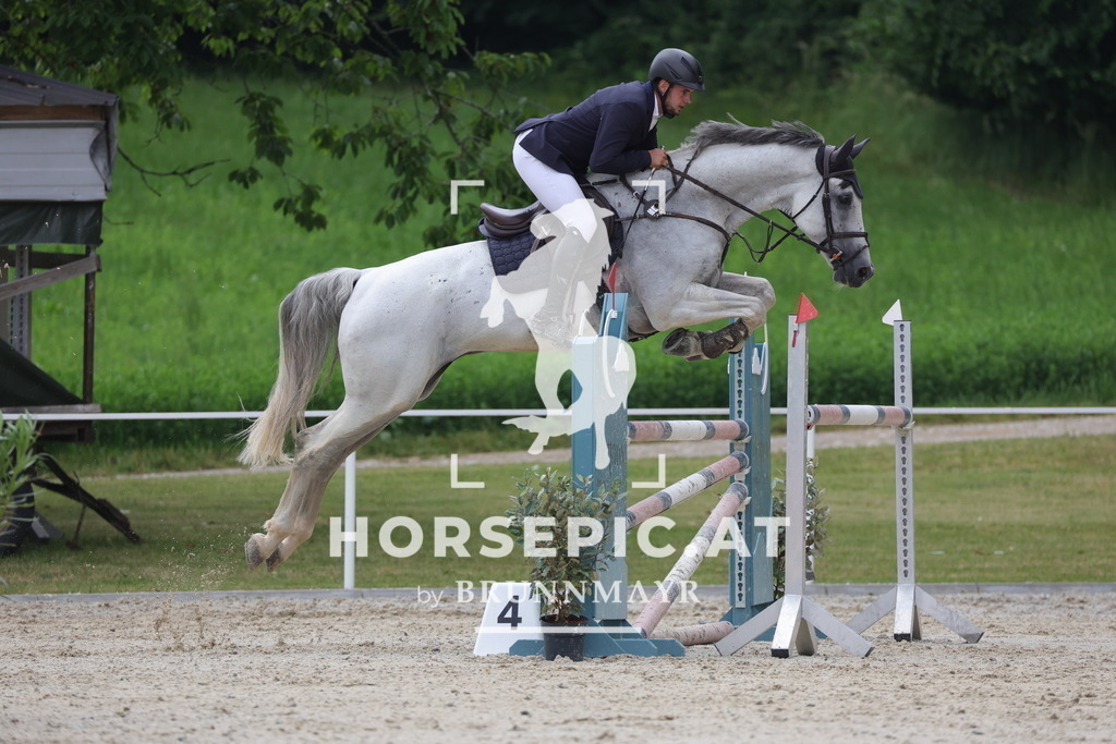 0P6A4442 | Willkommen bei Brunnmayr - Design & Fotografie – Ihrem Spezialisten für Reitturniere und Pferdeveranstaltungen in Oberösterreich, Salzburg und Bayern! Seit über 17 Jahren sind wir leidenschaftlich dabei.