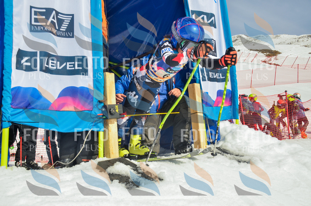 _ELE4455 | holidayphoto