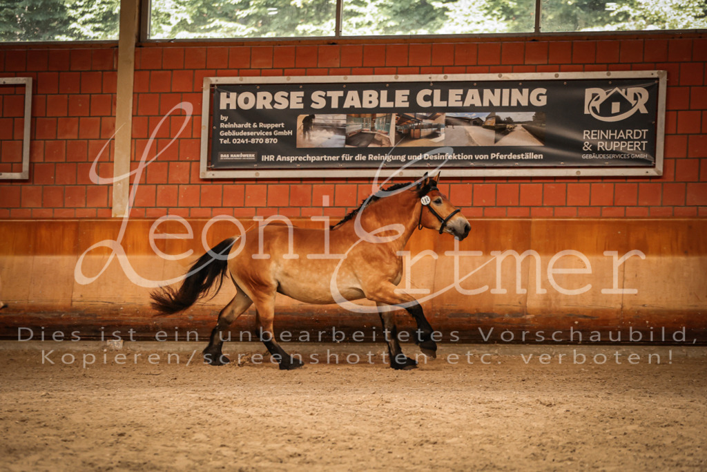 SaFL00113 | Leoni Ertmer Photography - Realisiert mit Pictrs.com