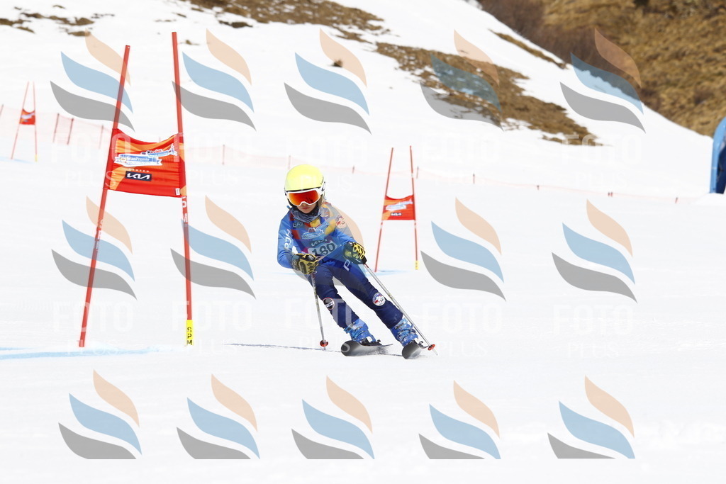 _U3G4733 | holidayphoto