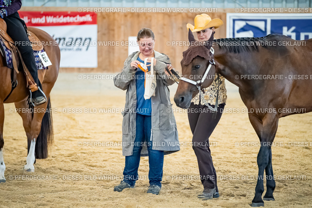 DSC09886 | Pferdegrafie