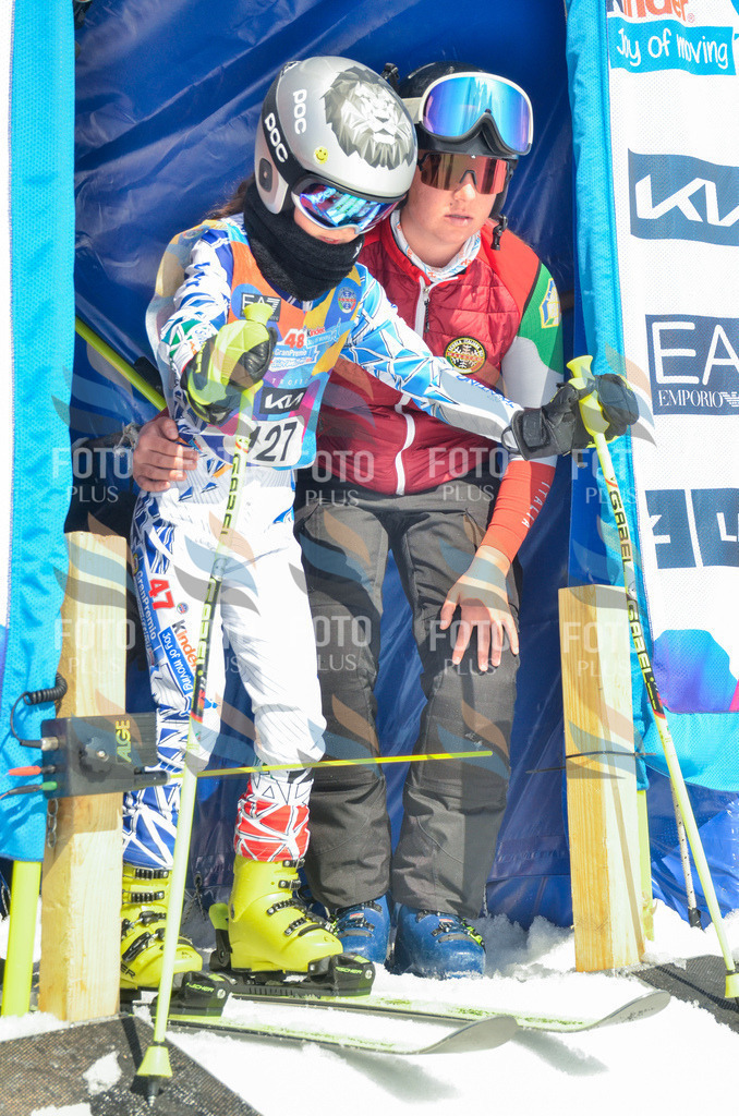 _ELE6077 | holidayphoto