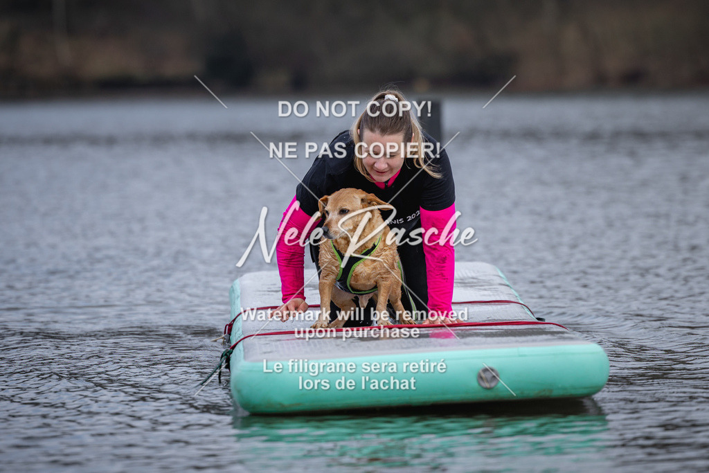 nelerasche_Hulsbeek_Sa1600-1700_578 | nelerasche