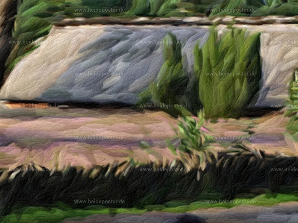 brushed_201208_heide_DSCF3206 | Poster aus der Lüneburger Heide - Realisiert mit Pictrs.com