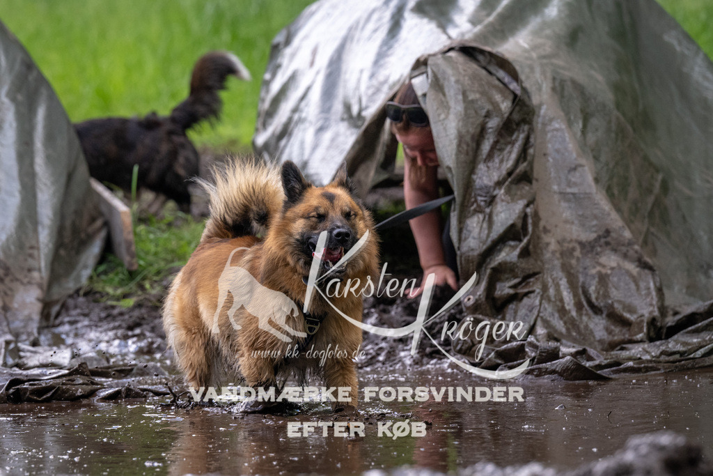 1359_ZZ93287 | kk-dogfotos