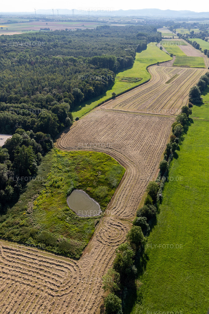 Luftbild: Biotop zwischen Flutgraben und Erlenbach in Steinweiler im Bundesland Rheinland-Pfalz in Deutschland. Foto: IMG_128385.jpg vom 12.08.2021 durch Werner Riehm/FLY-FOTO.de