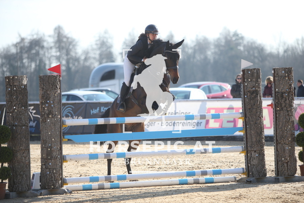 AS8V4973 | Willkommen bei Brunnmayr - Design & Fotografie – Ihrem Spezialisten für Reitturniere und Pferdeveranstaltungen in Oberösterreich, Salzburg und Bayern! Seit über 17 Jahren sind wir leidenschaftlich dabei.