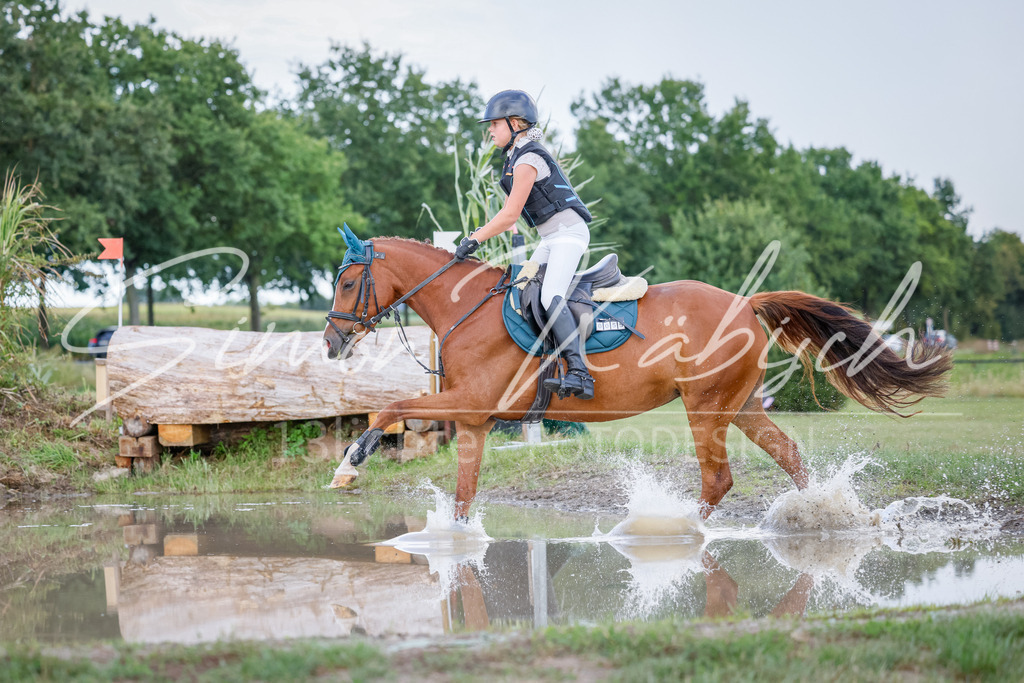 20250905-_3LI1955 | Tierfotografie Pferde, Hunde, Katzen, Haustiere.
Turnierfotografie Reitturniere, Reiten, Springreiten, Dressur in Hanau, dem Main-Kinzig-Kreis und dem Rhein-Main- Gebiet um Frankfurt