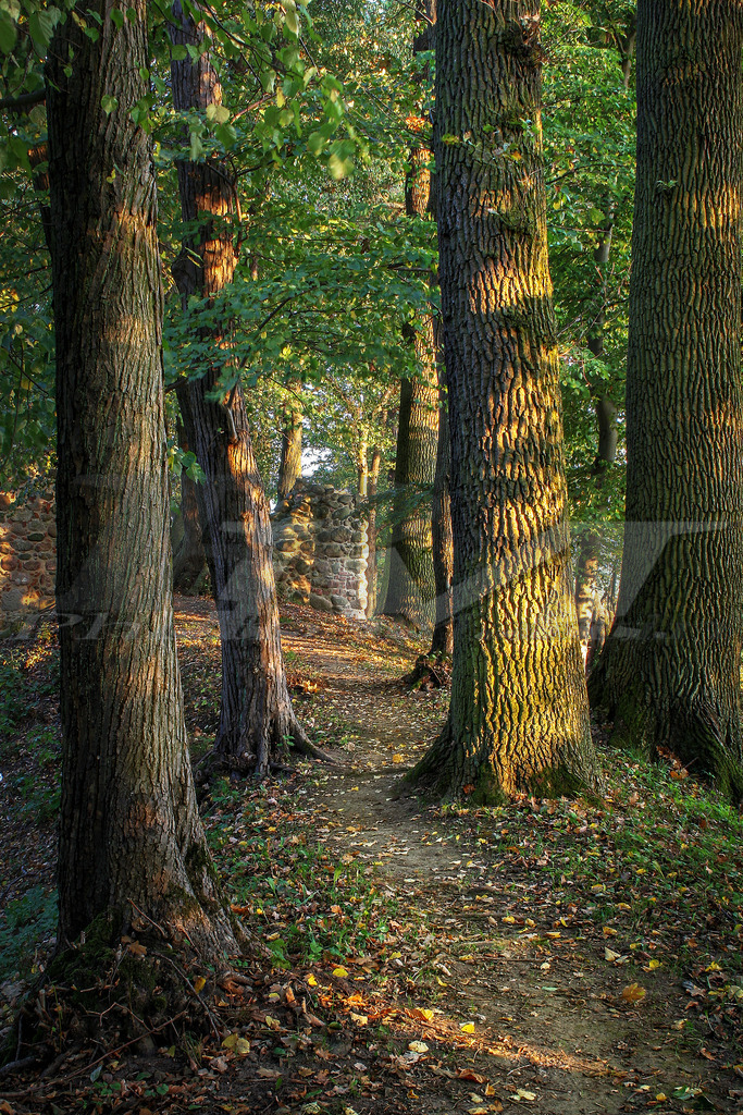 Burgruine Landskron | Im südwestlichen Winkel des Landkreises Ostvorpommern liegt ziemlich entfernt von dern belebten Landstrassen im Wiesentahl des Landgrabens die Burgruine Landskron. Alte Eichen umrauschen sie.  - Realisiert mit Pictrs.com
