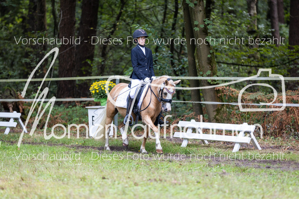 HB-Dressur-WB-008 | MomenTaufnahmen Pferdesportfotos