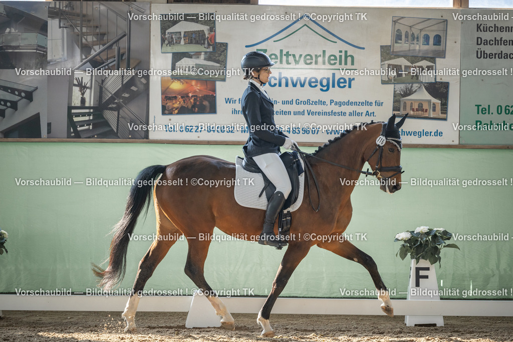 _D5A8451 | Emotionale Pferde- & People-Fotografie rund um Heidelberg, Leimen & Umgebung. Natürliche Fotos von Pferd, Mensch & Familie. Jetzt Termin sichern!