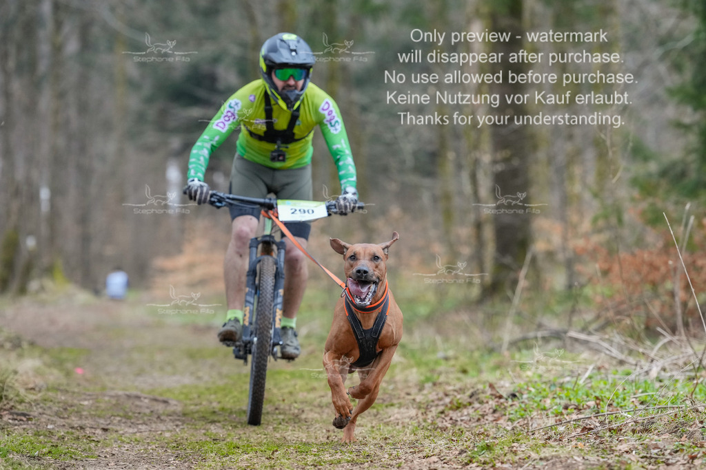 BikekurzSa-40 | stephaniefillaphotographie - Realisiert mit Pictrs.com