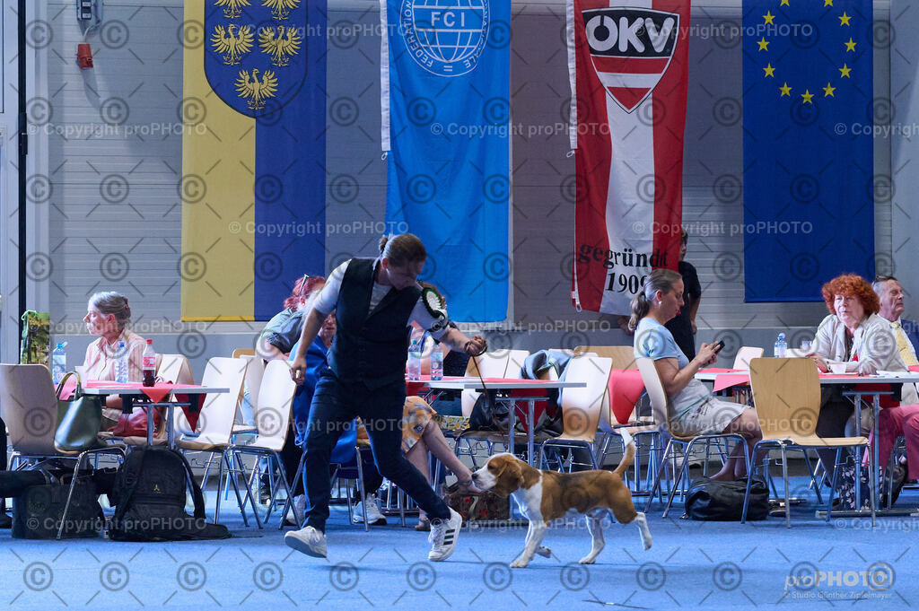 202406_ÖKV-IHA-Tulln24_DSC_4038 | proPHOTO - Realisiert mit Pictrs.com