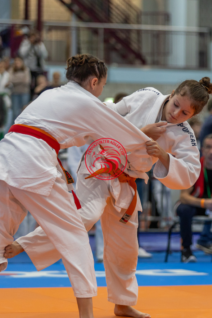 Internationaler Adler Cup 2024 | Foto vom Internationalen Adler Cup Judo Turnier im Sport- und Freizeitzentrum Kalbach im Oktober 2024 - Realisiert mit Pictrs.com
